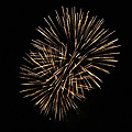 Free firework display a tremendous success as record crowd raises thousands for charity!